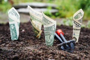 dollar-bills-planted-in-soil