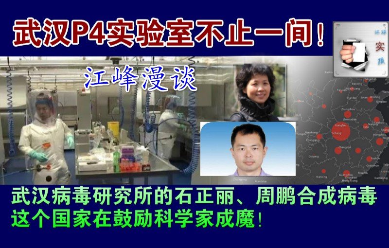 石正丽、周鹏合成病毒