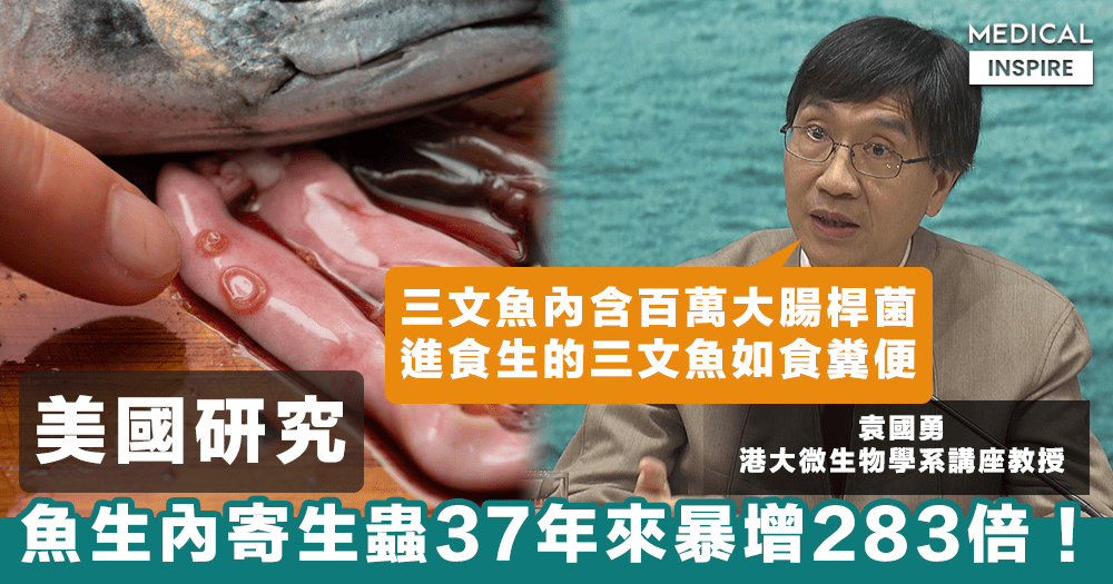 食魚如食屎 魚生內寄生蟲37年來暴增2倍 如何自救 醫療 癌症 紅藍卡保險 安心醫保