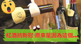 葡萄紅酒內單寧酸 可抑制新冠病毒活性